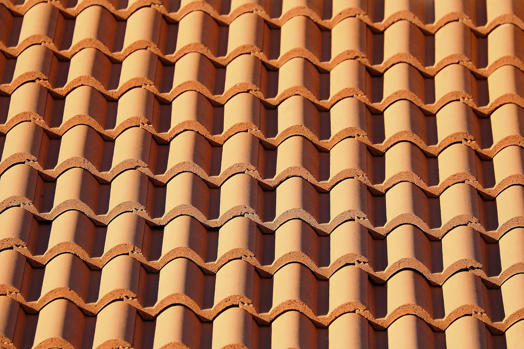 Rows of terracotta barrel tile on an older roof