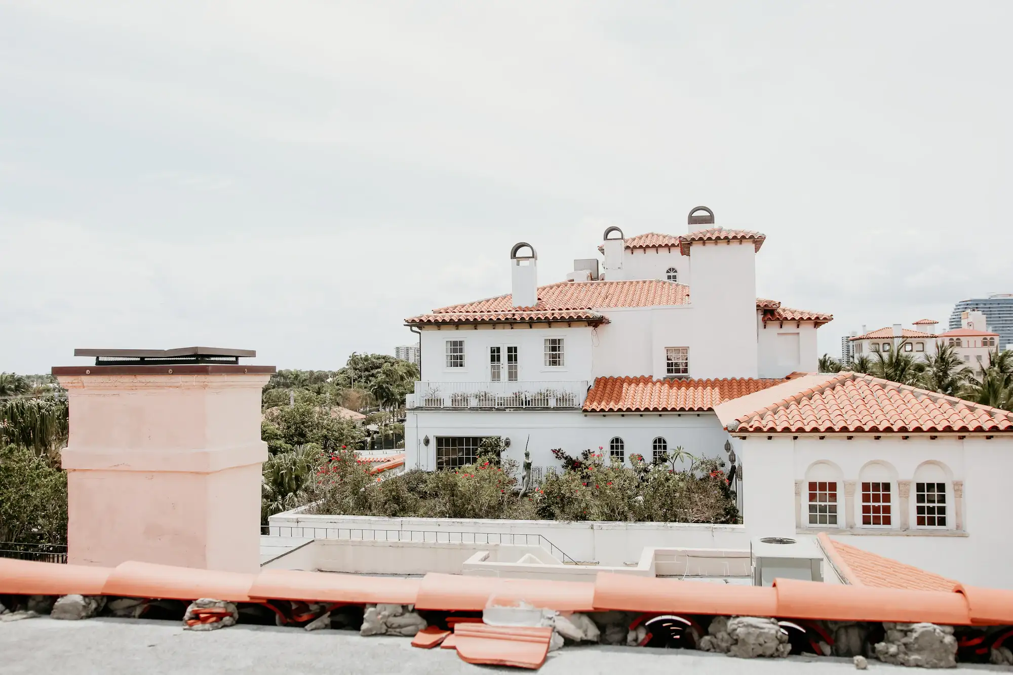 Red-roofed houses and palm trees in Florida