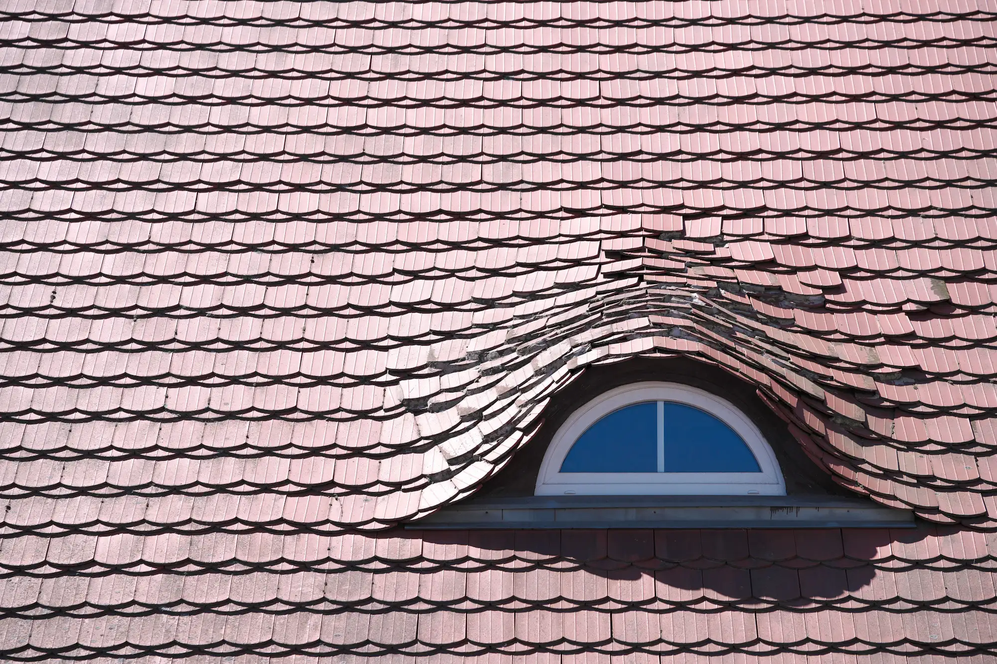 A shingled roof with a dormer window