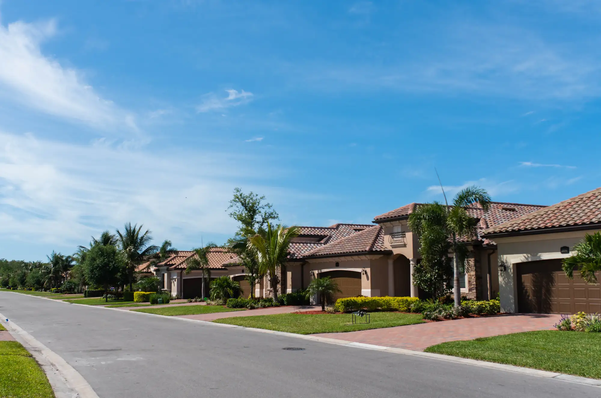 A palm-lined residential street of single-family homes