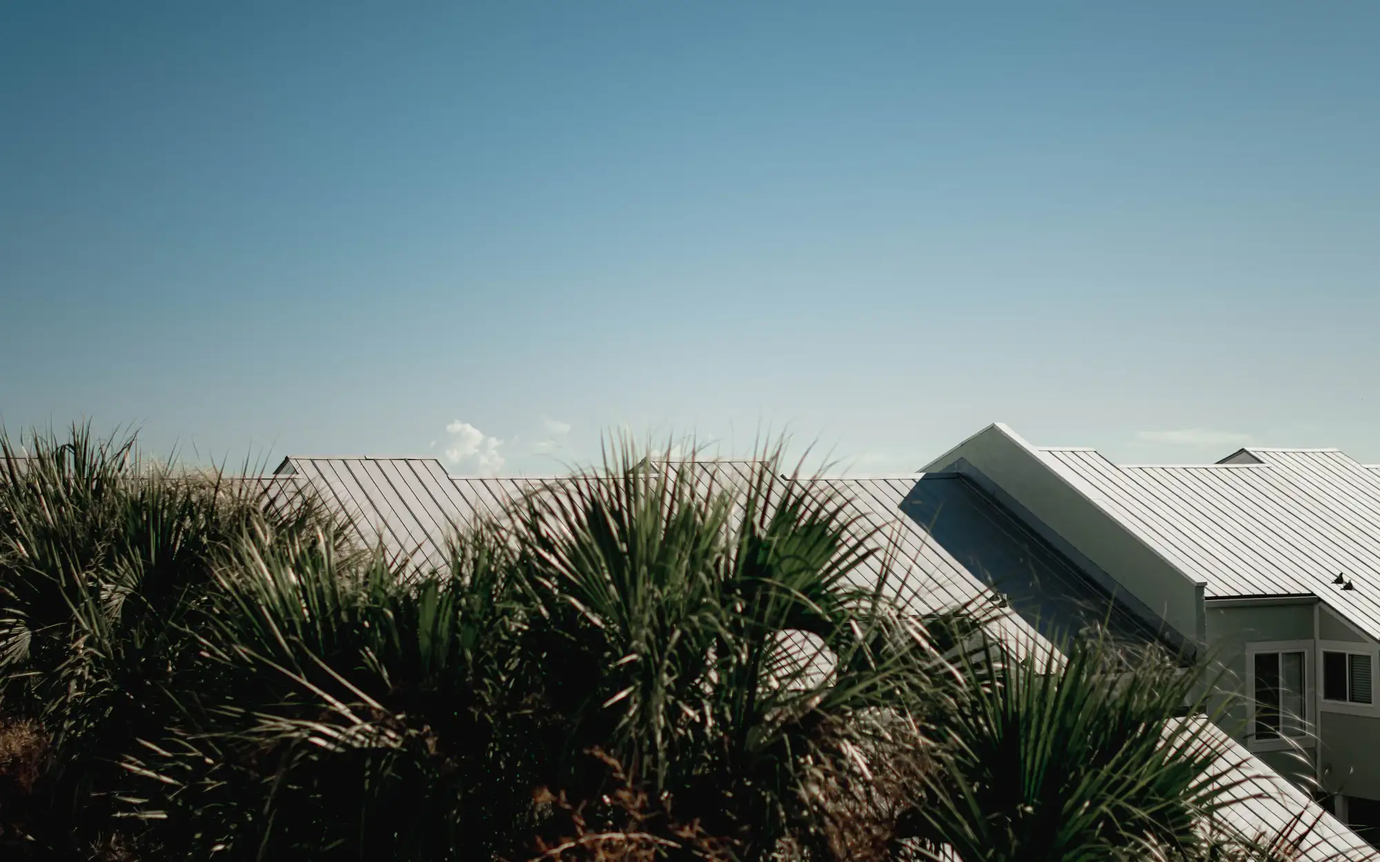 A house with a metal roof among palm trees