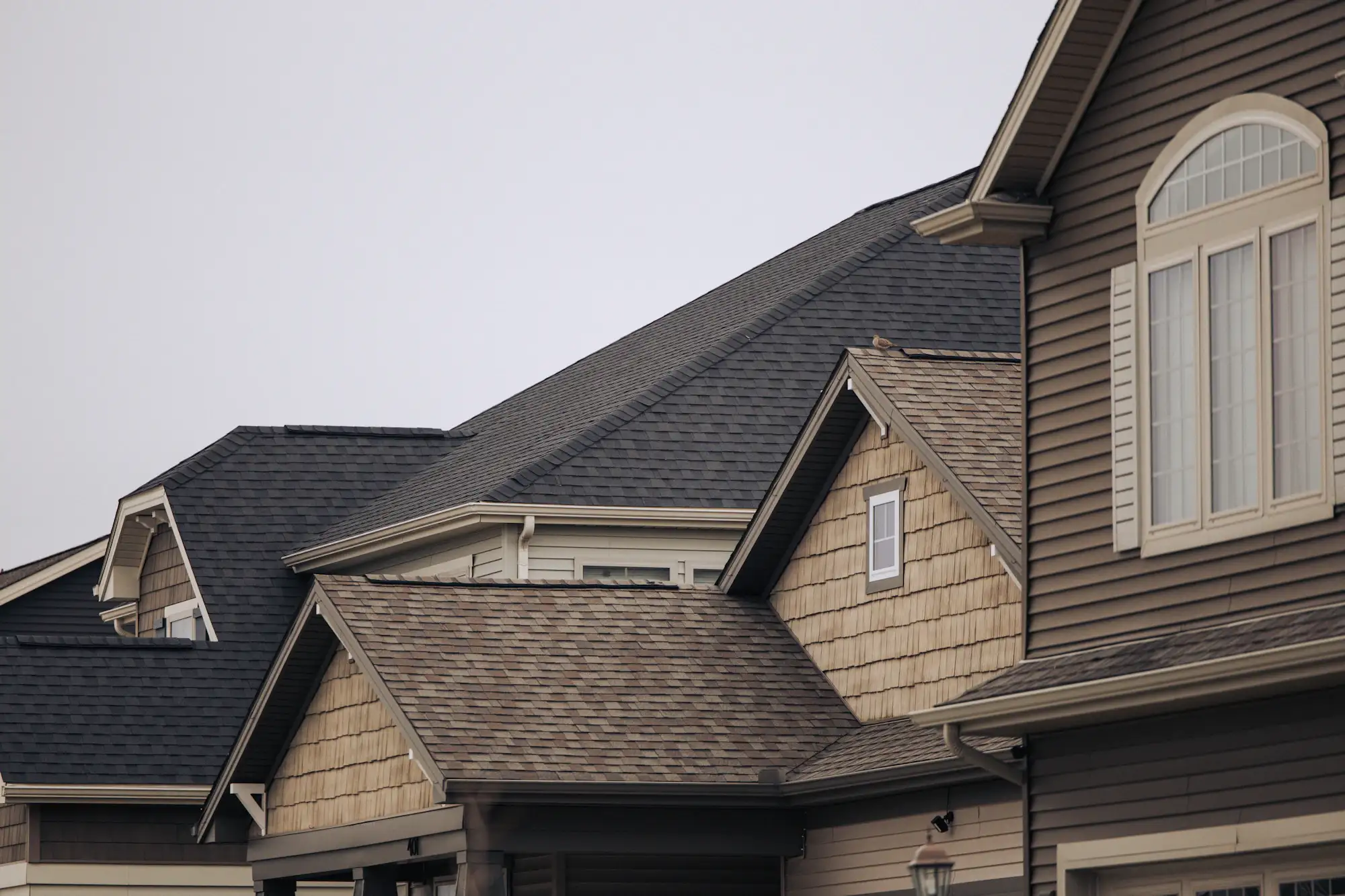 A row of houses with brown asphalt shingle roofs